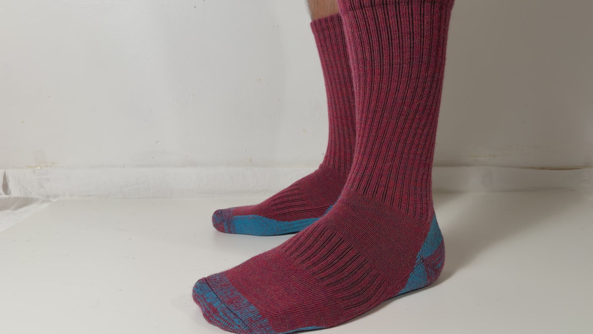 Munsel Alpine Contrast Socks in Burgundy / Blue